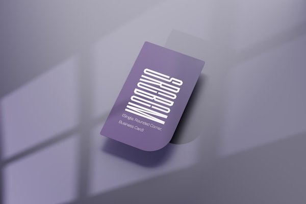 Guide complet des cartes universitaires françaises